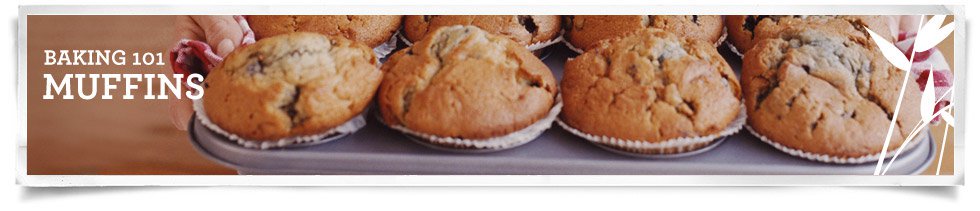 Muffins Banner