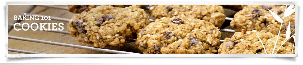 Cookies Banner